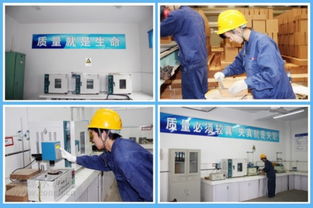 海螺耐火材料公司 服務水泥主業，打造行業精品耐火材料